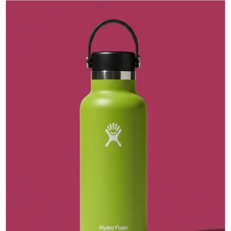 Botella 18 Oz (532ml) Standard Hydro Flask Seagrass