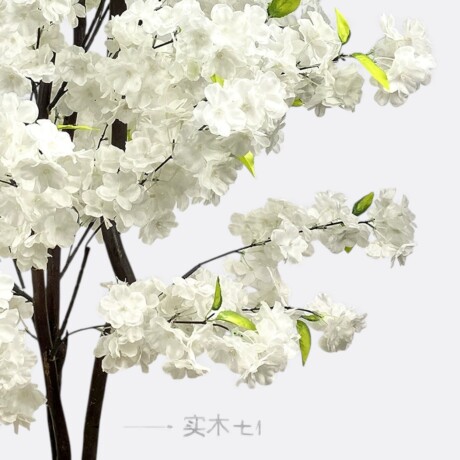 Árbol Cerezo Ornamental Árbol Cerezo Ornamental