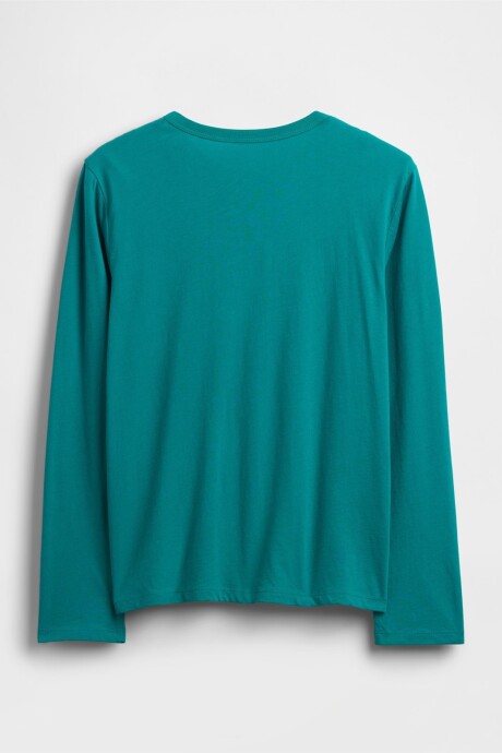 Remera Gráfico Niño Green Dino