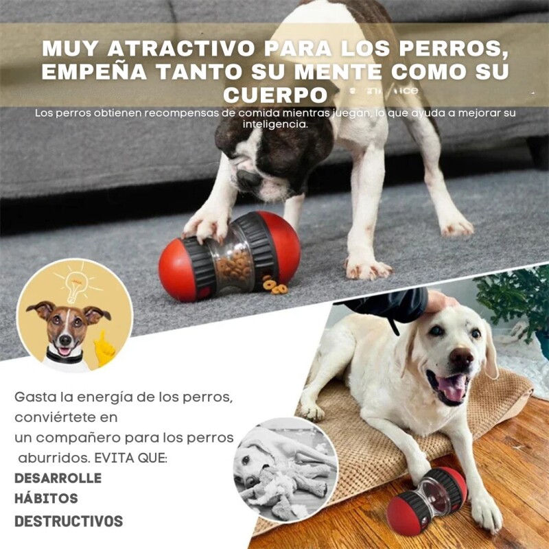 Juguete Dispensador Comida Perro Educativo Interactivo Verde Juguete Dispensador Comida Perro Educativo Interactivo Verde
