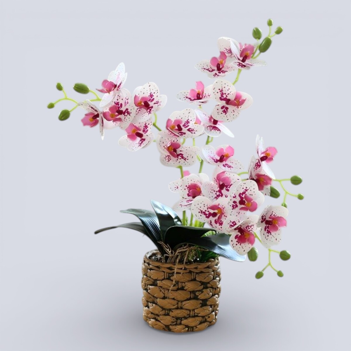 Orquídea Artificial Maceta Grande - Blanco Rosa 