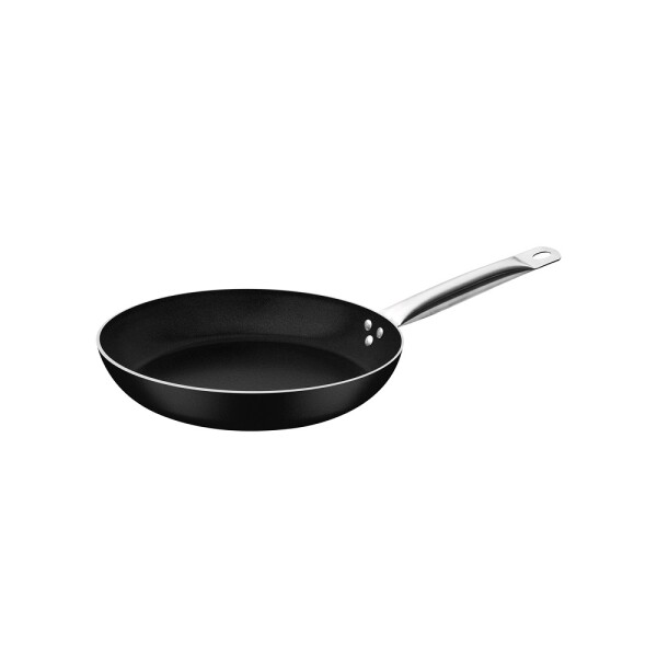 SARTEN PIEMONTE 25 CM. MANGO ACERO 28350/025 SARTEN PIEMONTE 25 CM. MANGO ACERO 28350/025