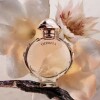 Set Perfume Rabanne Olympea EDP 50 ml + 10 ml Set Perfume Rabanne Olympea EDP 50 ml + 10 ml