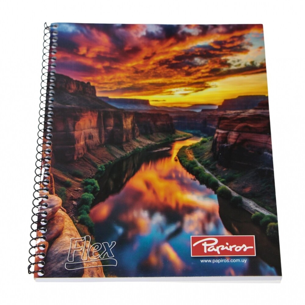 CUADERNO PAPIROS CON ESPIRAL DE 96 HOJAS TAPA CAÑON