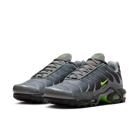 Championes Nike Air Max Plus de Hombre Gris