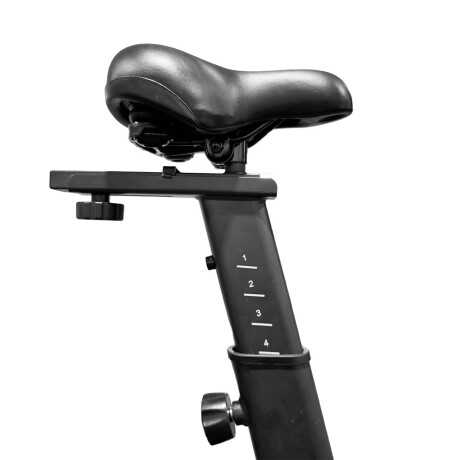 Bicicleta Spinning Expert Fitness The Beast 18kg Gym002018