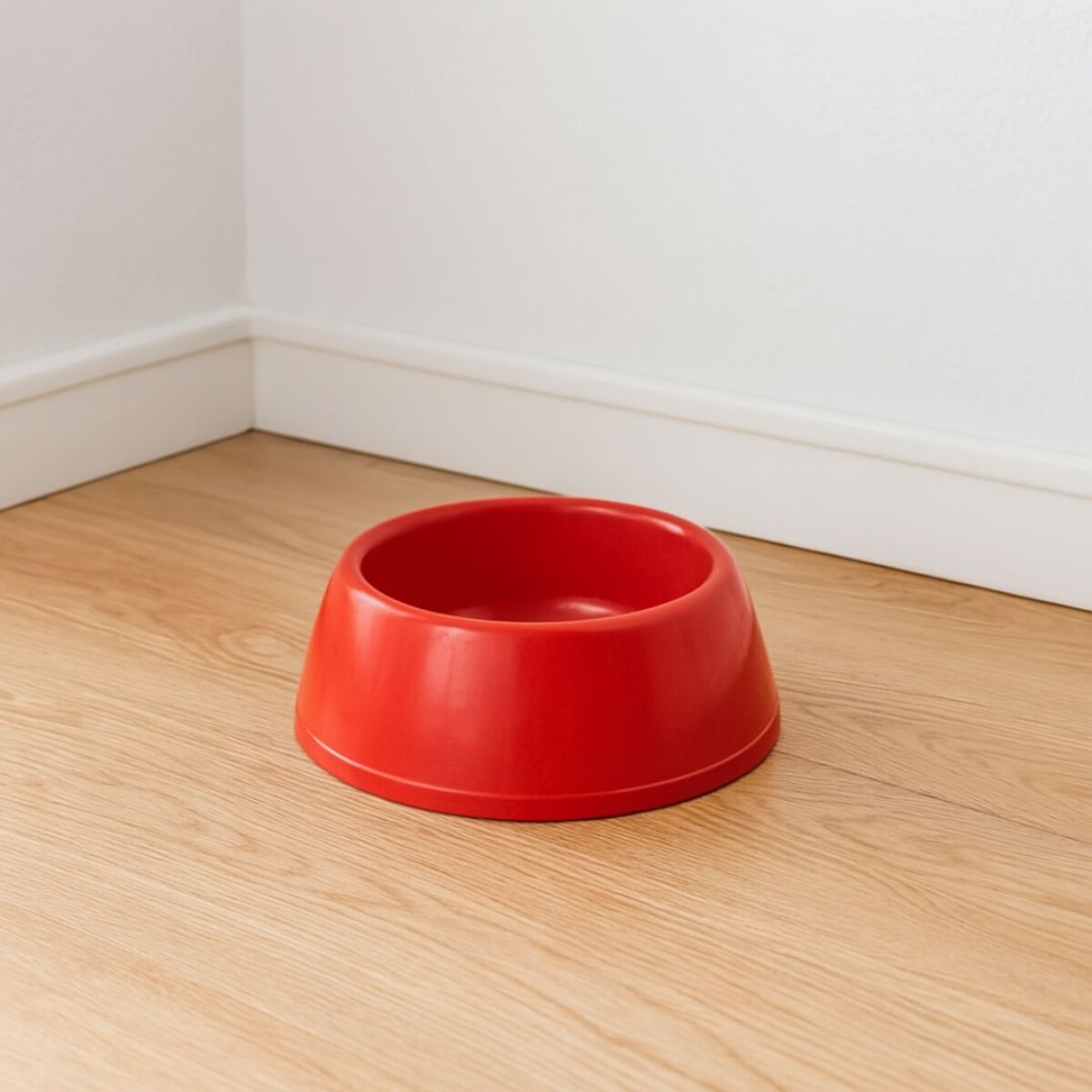 PLATO PARA MASCOTA PLASTICO 13CM 