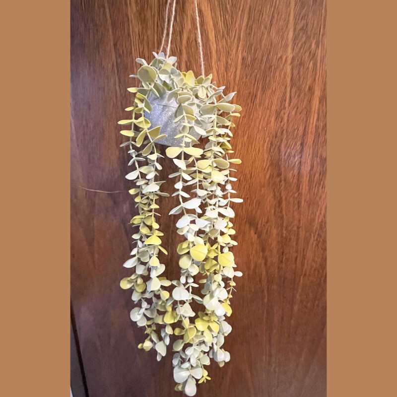 Planta con Maceta Colgante Claro