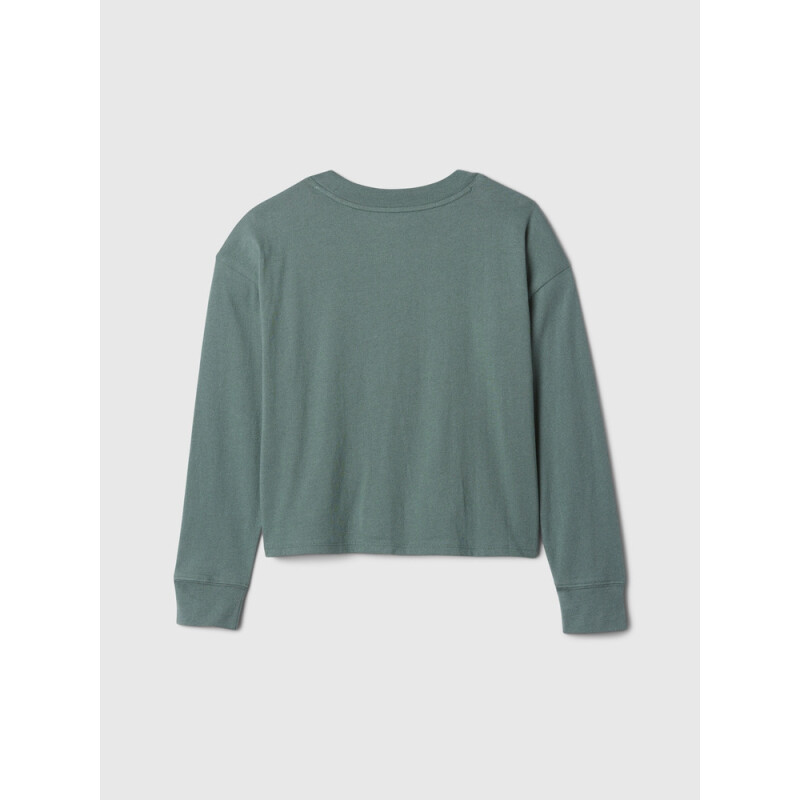 V-LS ELV LOGO GR DISTRICT GREEN