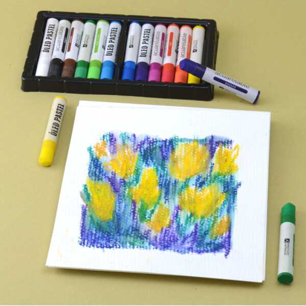 Óleo pastel acuarelable 24 colores