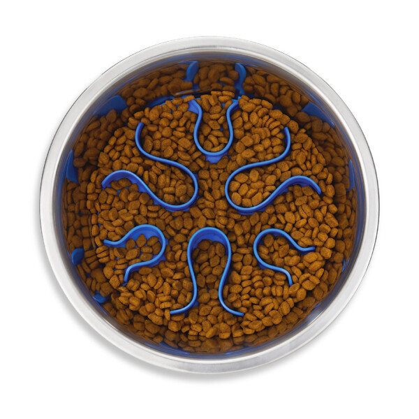 PLATO DE COMIDA EN ACERO INOXIDABLE FUN FEEDER N/A