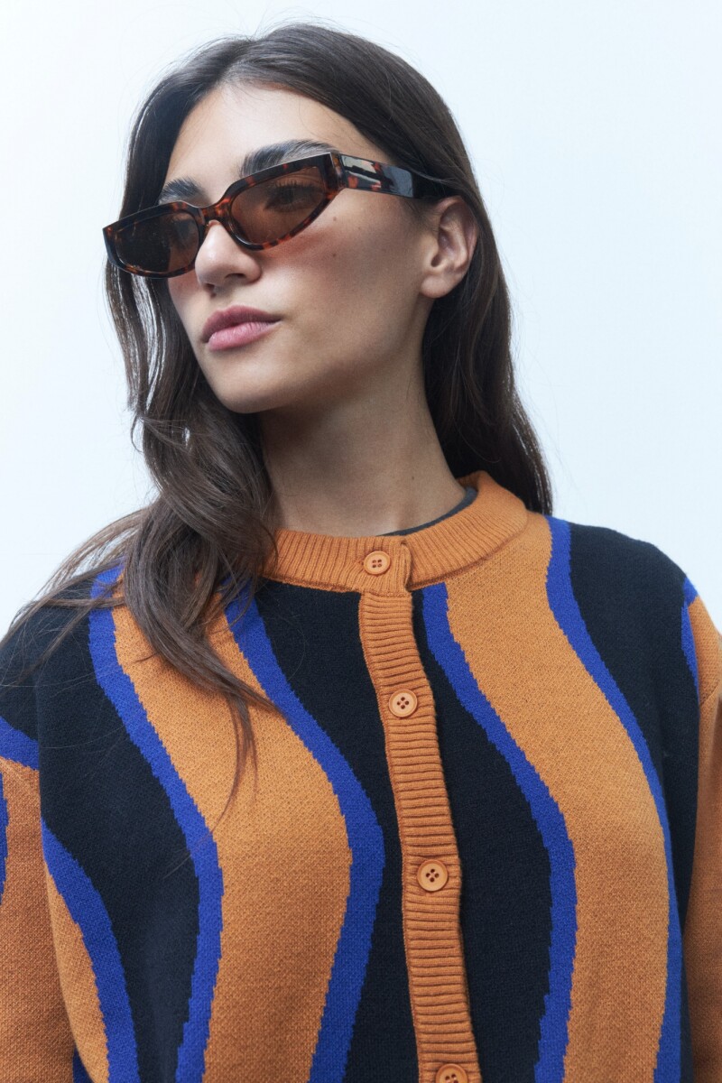 Lentes de sol Romanesco carey