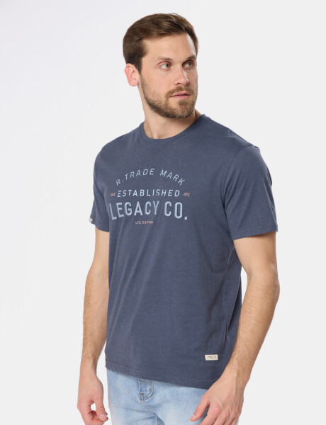 REMERA ESTAMPADA Azul