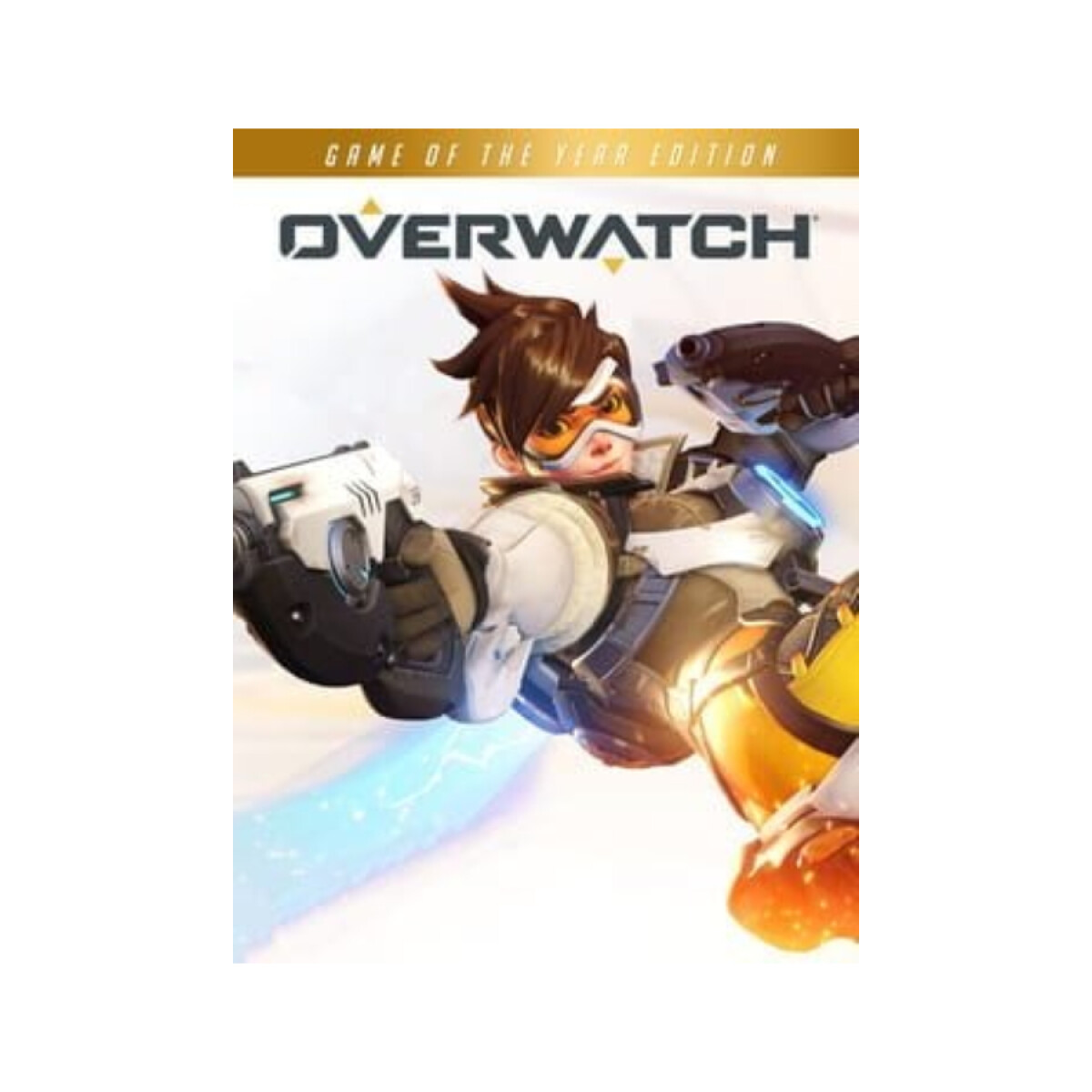 Overwatch GOTY [PC] 