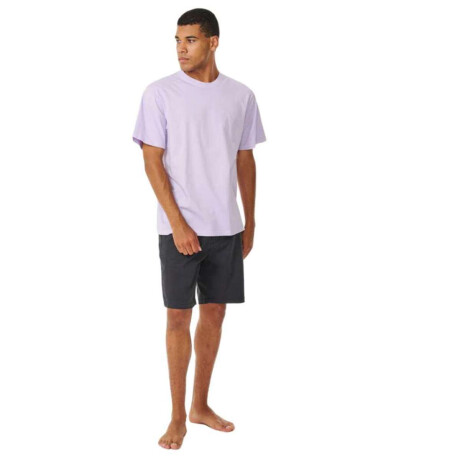Remera MC Rip Curl Plain Wash Tee Lila