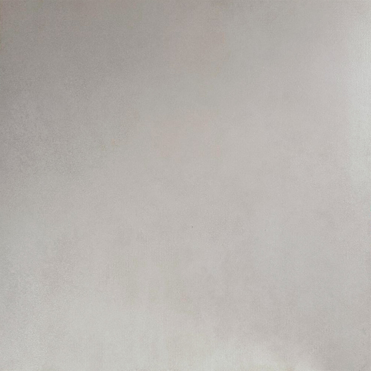 Porcelanato Pro Nude Gp "a" 54x54 Cm 