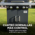 Parrillero Barbacoa A Gas Portátil Patio Jardín Hornalla X4 Color Gris
