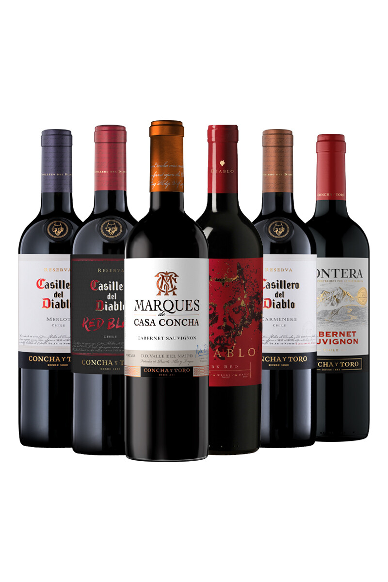Pack Bacán Selección Bacanazo Fin de Año x6 vinos chilenos 