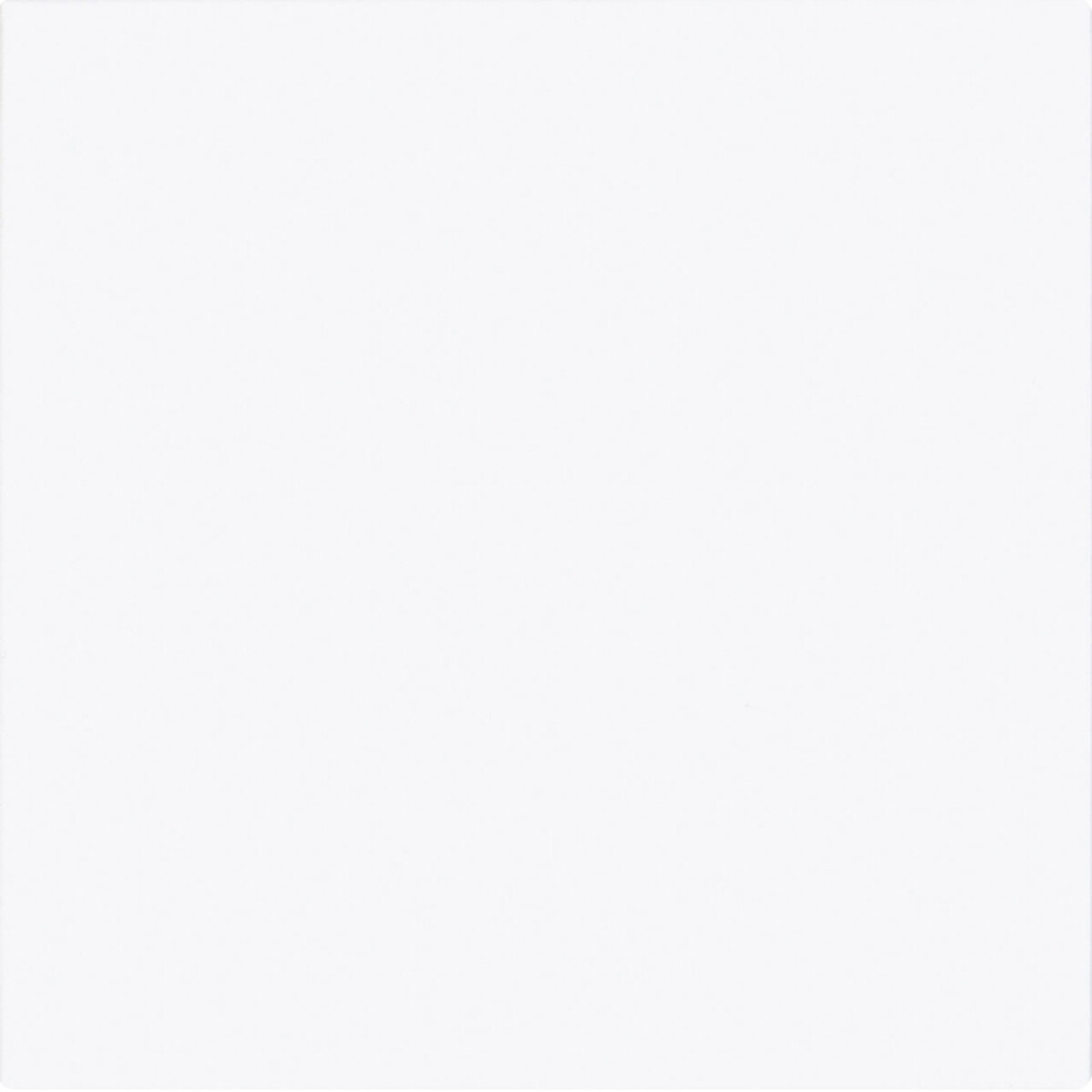 Revestimiento Branco Brillo "a" 20x20 Cm 