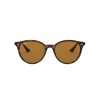 Ray Ban Rb4305 710/83