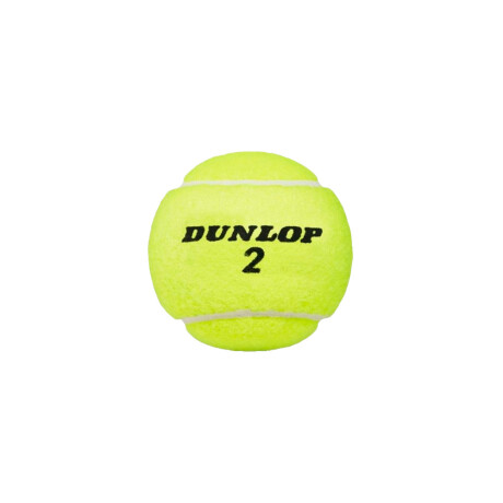 PELOTA DUNLOP TENIS AUTRA OPEN X3 Blue