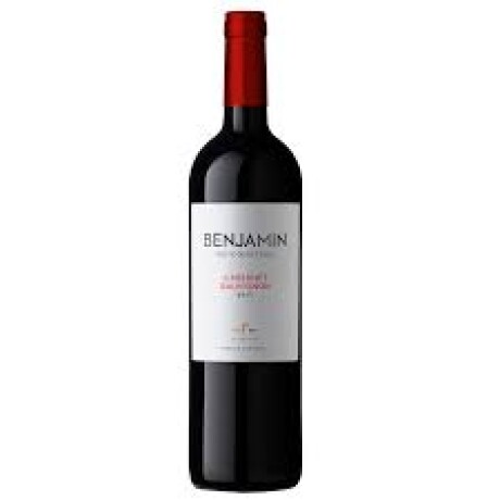Vino Benjamin Nieto Senetiner Cabernet Sauvignon 750 Ml 001