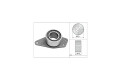 Tensor Guia Correa Dist. Renault Megane/Scenic 98-05 Tensor Guia Correa Dist. Renault Megane/Scenic 98-05