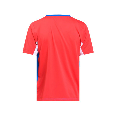 REMERA NUO Nacional Oficial Junior Gray