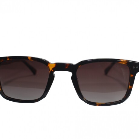 6094 Sol Carey+Marron