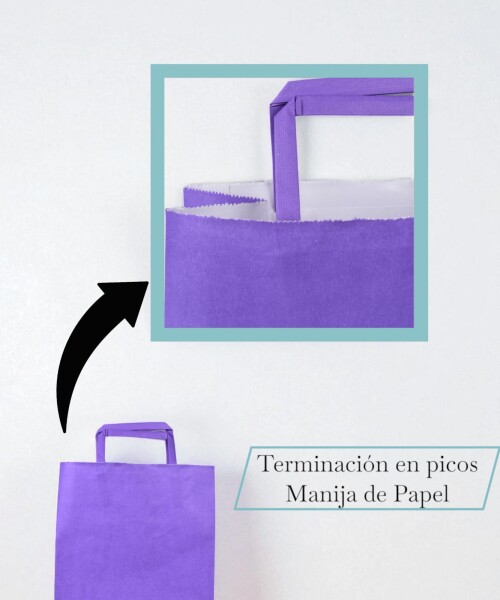 Bolsa lisa acuario 22x10x30 cm VIOLETA