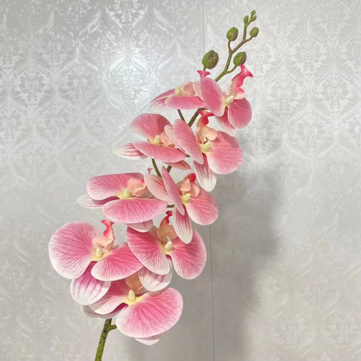 Ramo de Orquideas Rosa 