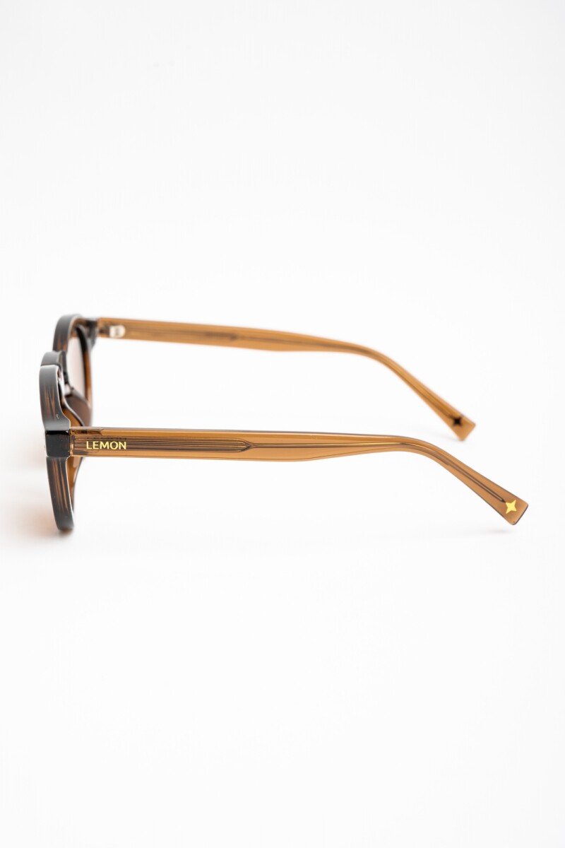 Lentes De Sol Polarizados Marron