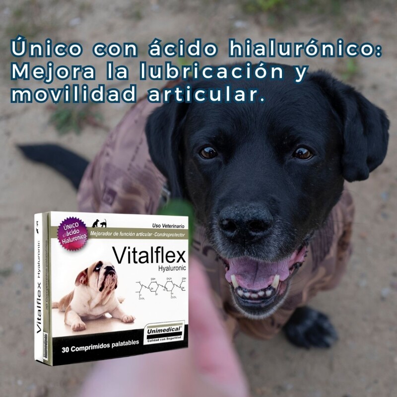 VITALFLEX X BLISTER DE 5 COMPRIMIDOS