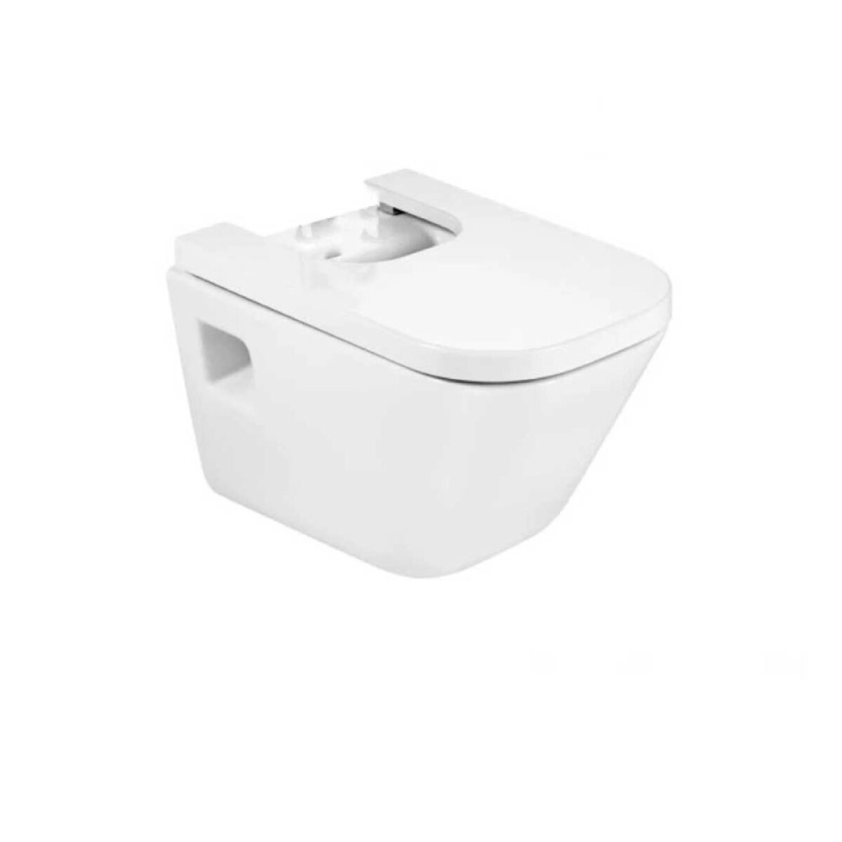 Bidet The Gap Suspendido Un Agujero 