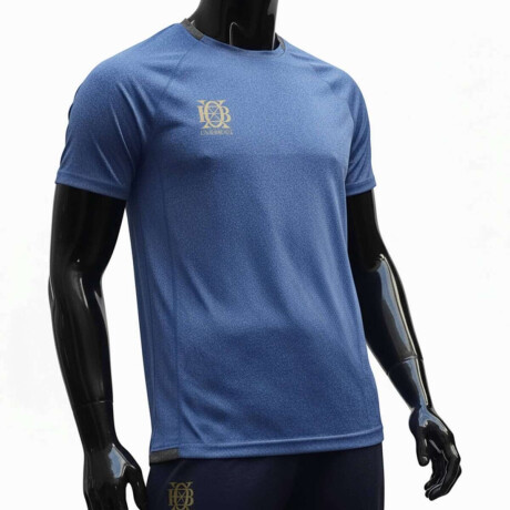 Remera Dry Fit Manga Corta Para Hombre Celeste