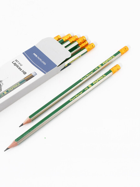 LAPICES HB CON GOMA SET 12 PCS GRIS