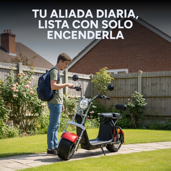 Moto Electrica Gogreen Deluxe 1500W 16Ah 30Km Autono. 45Km/h Color Variante Bordo