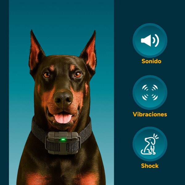 Collar Antiladridos Control Remoto Sumergible Entrenamiento Variante Color Negro
