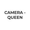 Edredón 120 hilos Col. Buzios Paisley Beige Camera- Queen