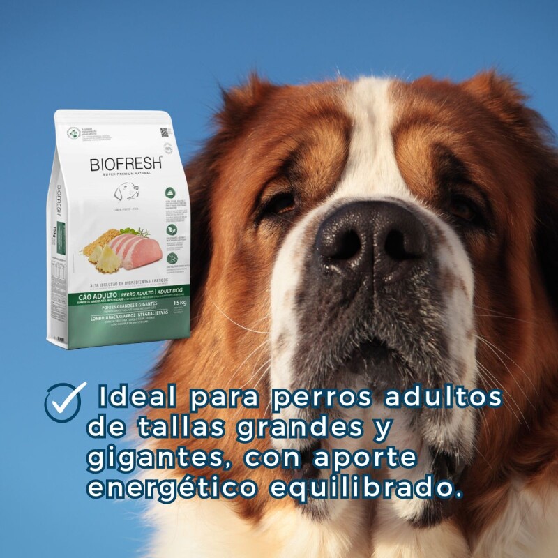 BIOFRESH PERRO ADULTO RAZAS GRANDES CERDO Y ANANA 15 KILOS BIOFRESH PERRO ADULTO RAZAS GRANDES CERDO Y ANANA 15 KILOS