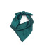 PAÑUELO MERIDA VERDE PETROLEO PAÑUELO MERIDA VERDE PETROLEO