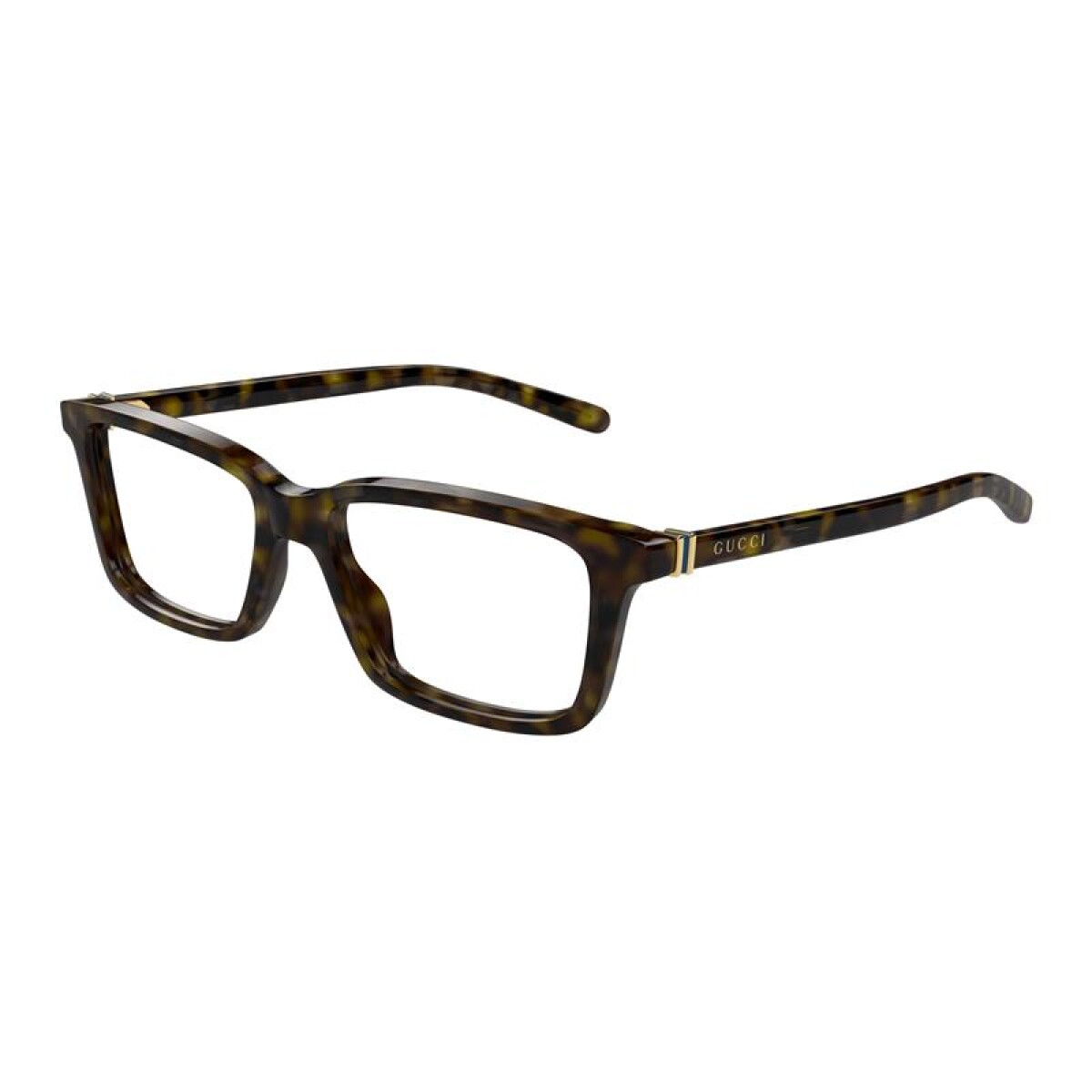 Gucci 1672o - 002 