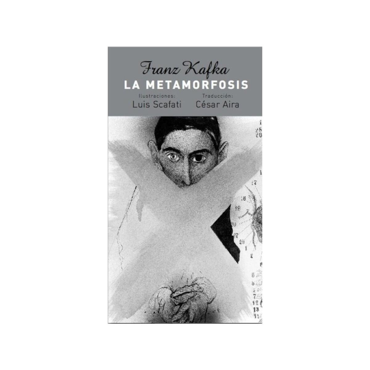 La Metamorfosis 
