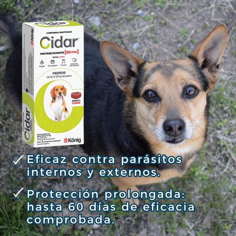 CIDAR PASTILLA ANTIPULGAS Y ANTIGARRAPATAS KONIG 6.1 A 12 KG