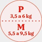 P/M