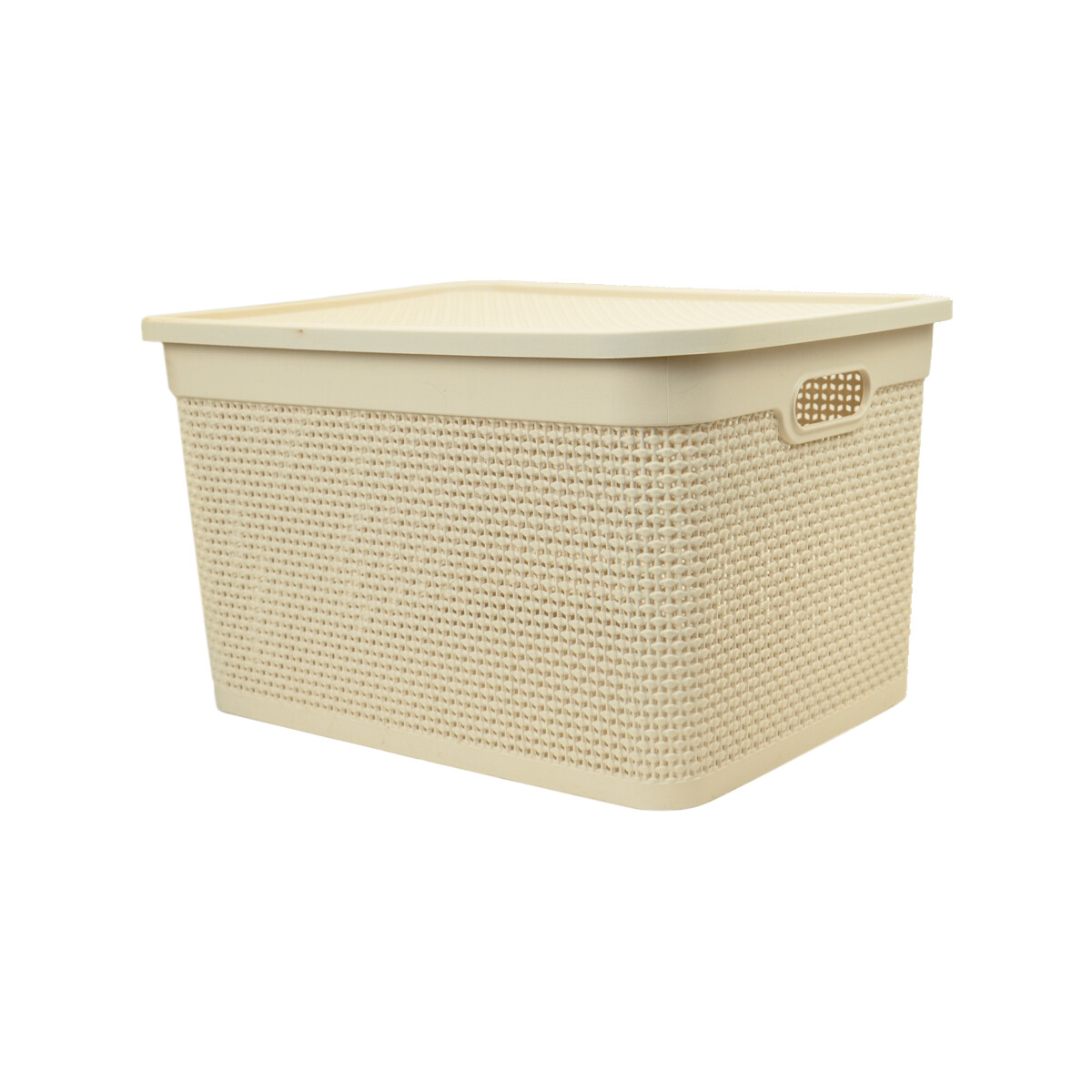 Caja simil ratán 40 lts - BEIGE 