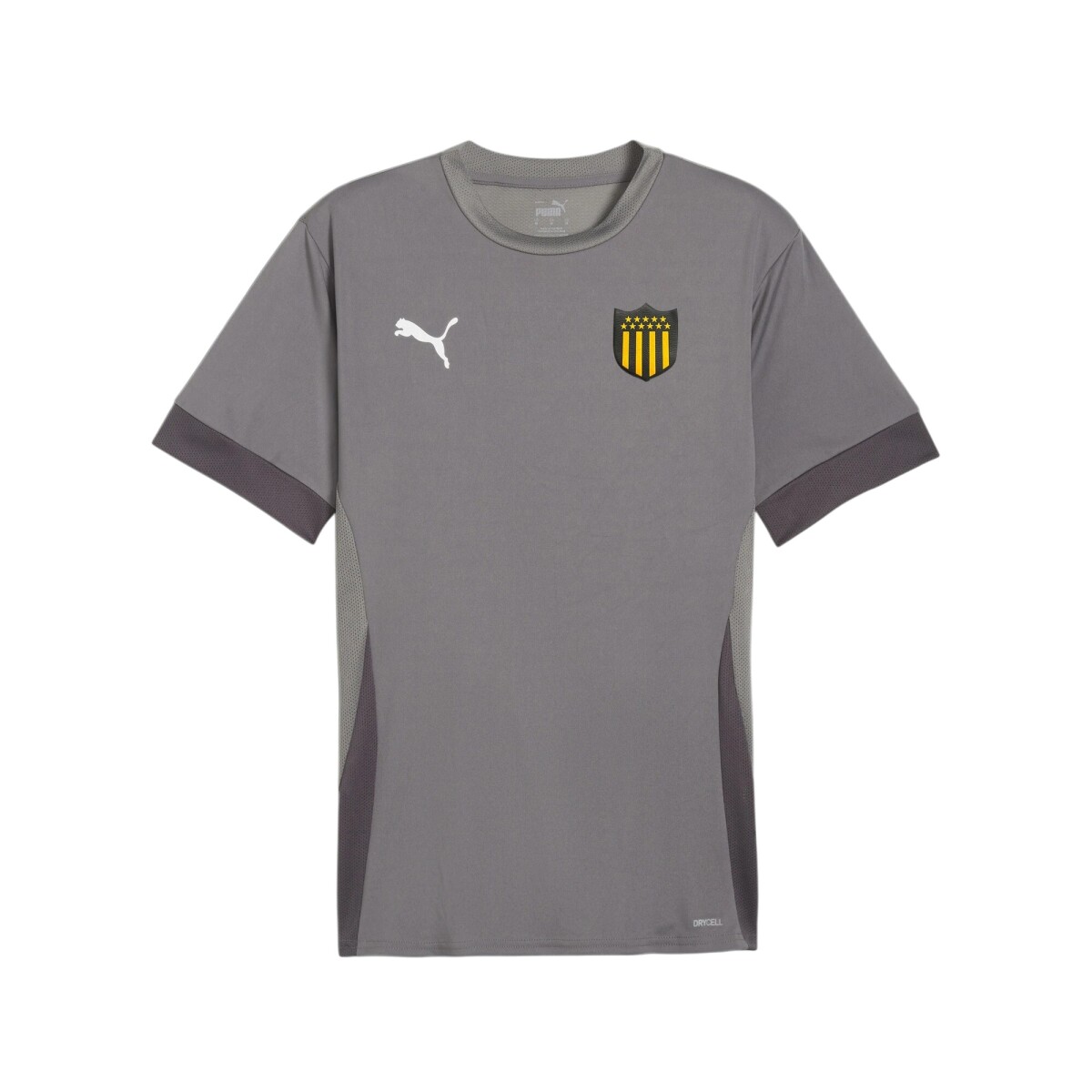 Camiseta Puma Teamgoal Matchday 
