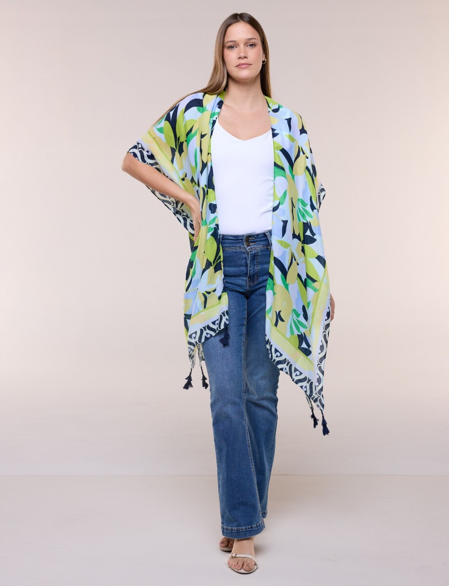 Kimono Summer - Multi/azul 