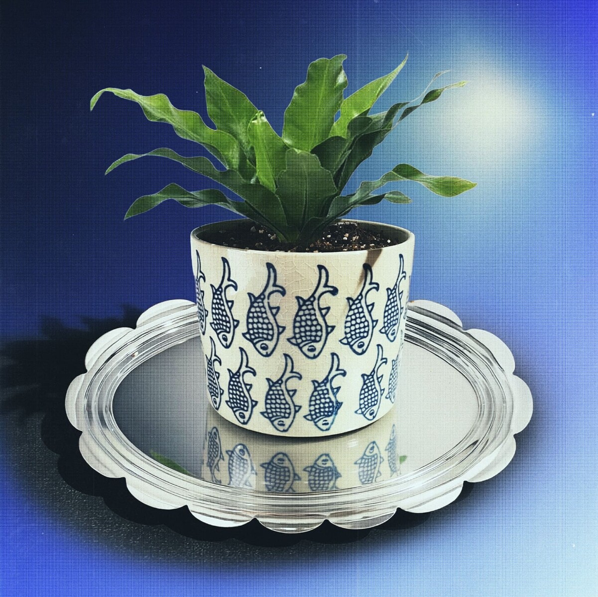 Maceta de cerámica Algarve 