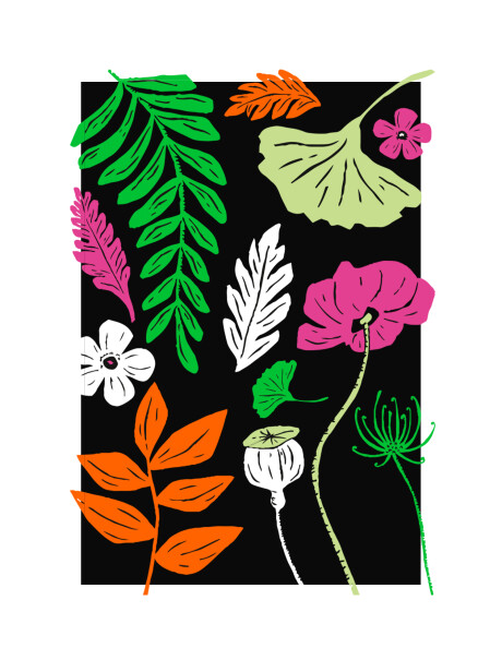 T-shirt botanico T-shirt botanico